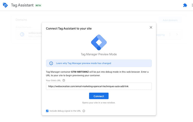Connect tag assistant to website