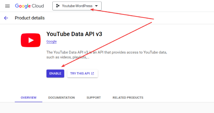 Youtube data API v3 Enable