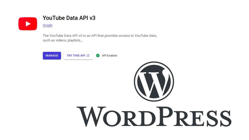 Youtube Wordpress